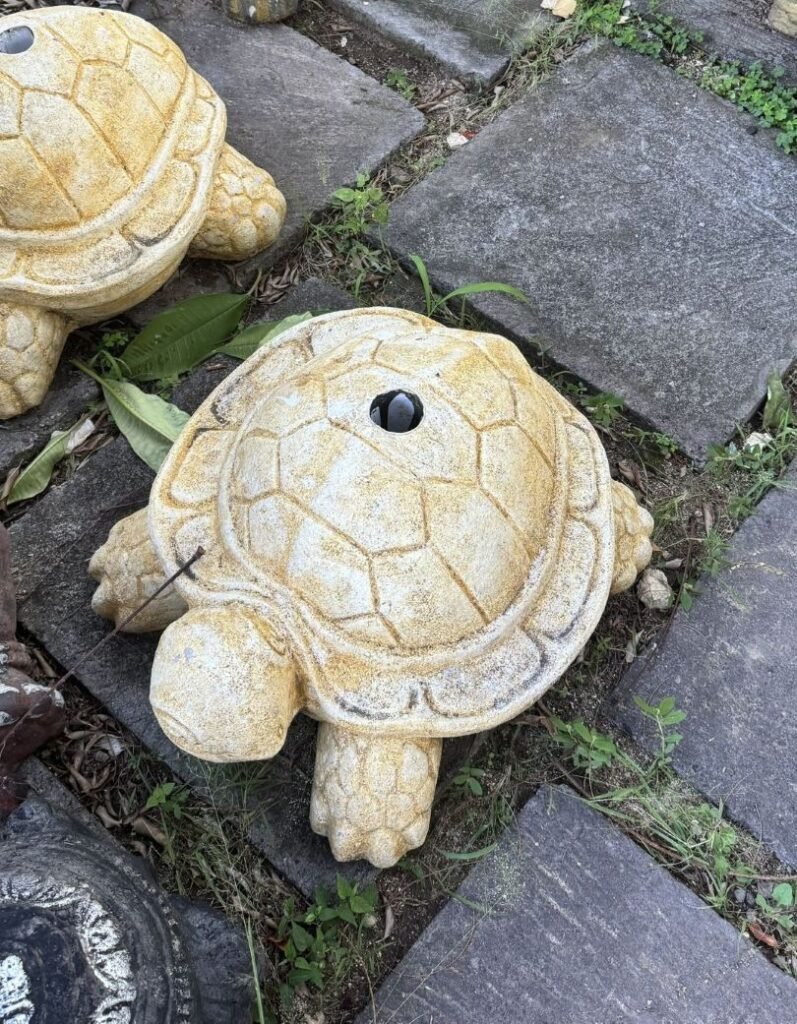 Pied de parasol tortue en ciment disponible chez Zen Évasion