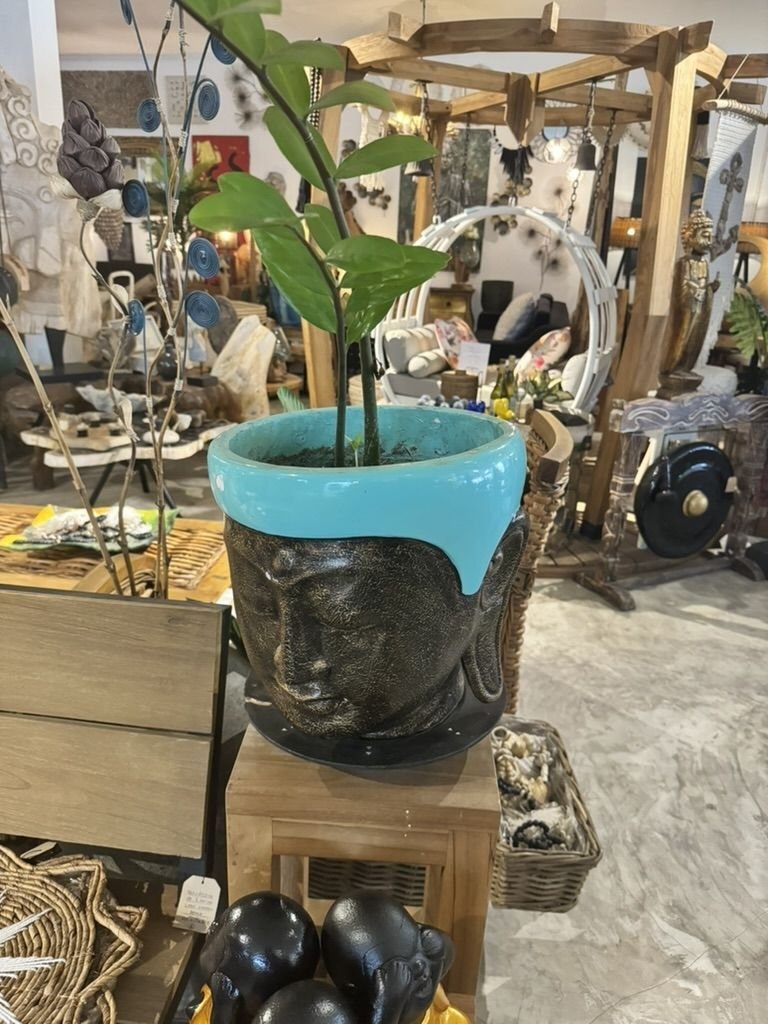 Pot bouddha en fibre et sable de lave disponible chez Zen Évasion