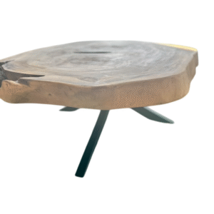 Table de salon en teck